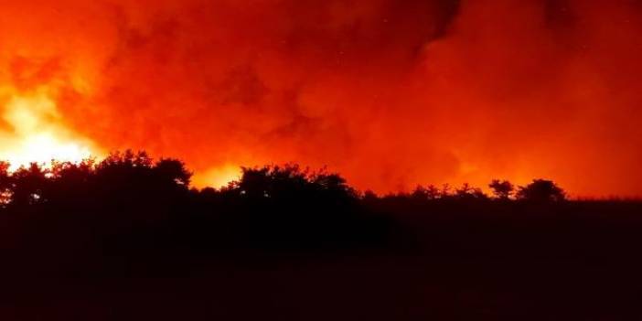 Osmaniye'de orman yangını: İkinci gününde kontrol altına alındı