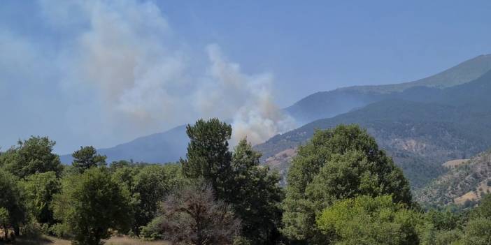 Yine yangın, bu kez Kütahya