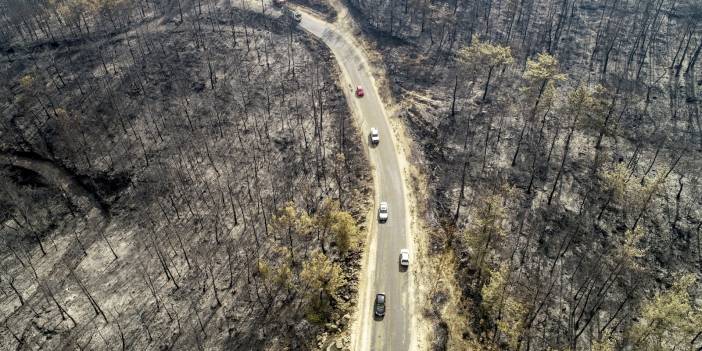 Eski Milli Parklar Genel Müdürü Hüsrev Kara: Yangın enerjisi atom bombasına eşit, su ile durduramazsınız