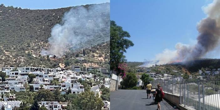 Bodrum'da bir yangın daha