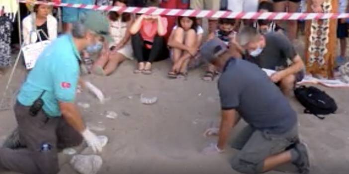 Yangın dumanı gökyüzünü kapladı, yavru caretta yavruları yönlerini bulamadı