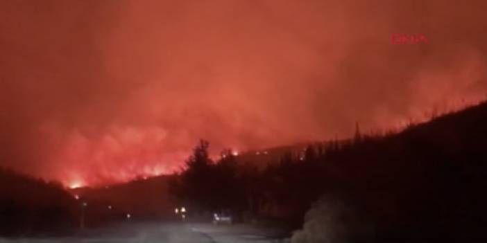 Milas'taki orman yangınına müdahale sürüyor