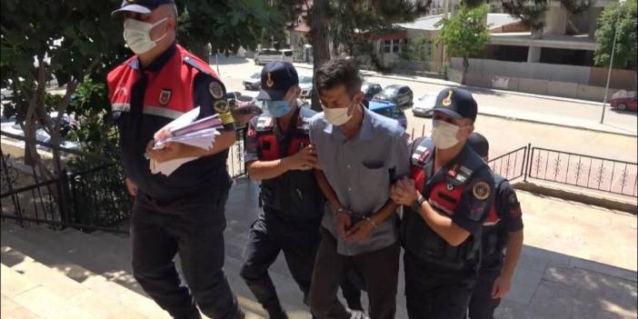 Bilecik'te orman yangını şüphelisi adli kontrolle serbest