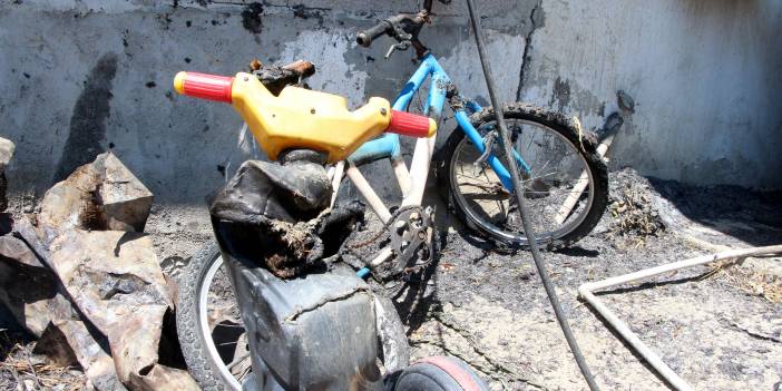 Yardım çığlıkları hayvanlarını kurtarmaya yetmedi