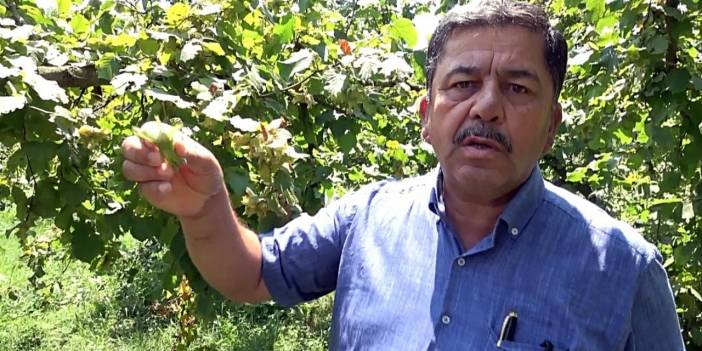 Düzce Ziraat Odası Başkanı Öztürk'ten fındık üreticilerine uyarı
