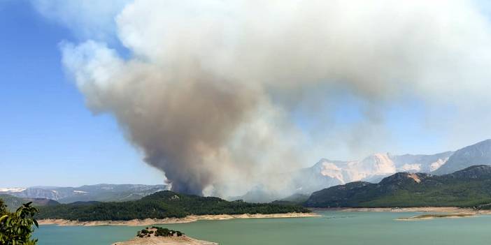 Isparta'da da orman yangını başladı