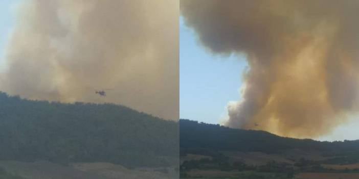 Adana'nın Küçükçınar Mahallesi'nde orman yangını