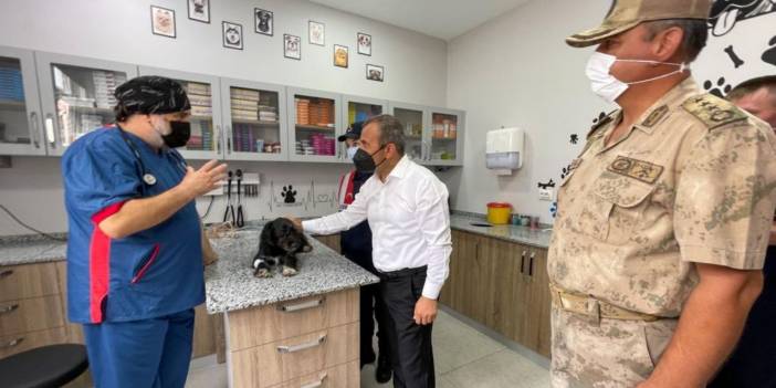 Köpeğini motosiklete bağlayıp arkasından koşturdu