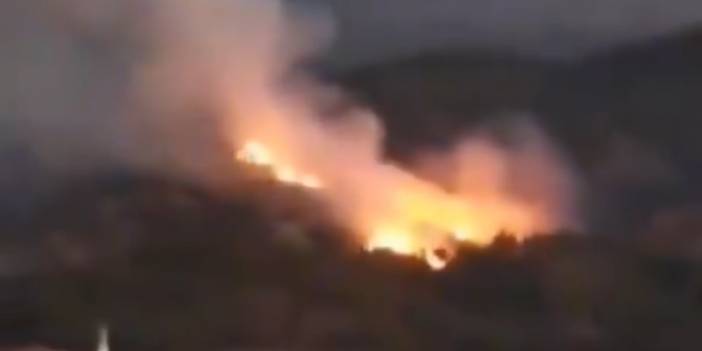 Manisa'da korkutan yangın!