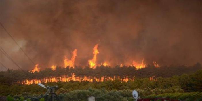Gündoğmuş'daki yangın kontrol altına alındı