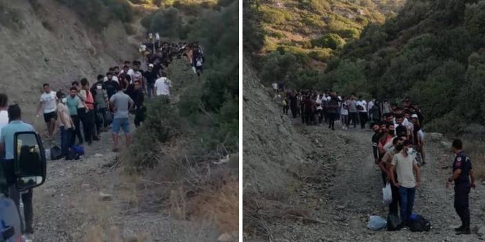 Datça'da 72 kaçak göçmen yakalandı