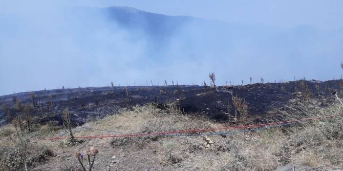 Buldan'da 2 hektarlık orman kül oldu