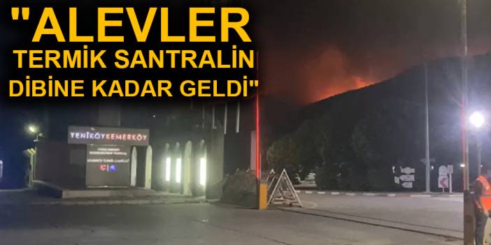 "Alevler termik santralin dibine kadar geldi"