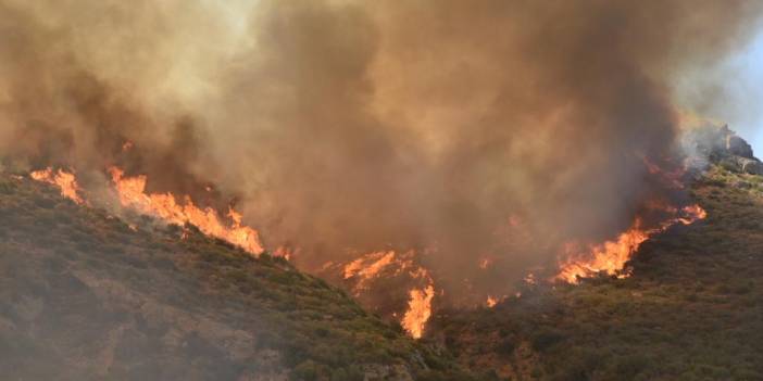 Çökertme yangınında son durum: Alevler, yeniden termik santralin dibinde