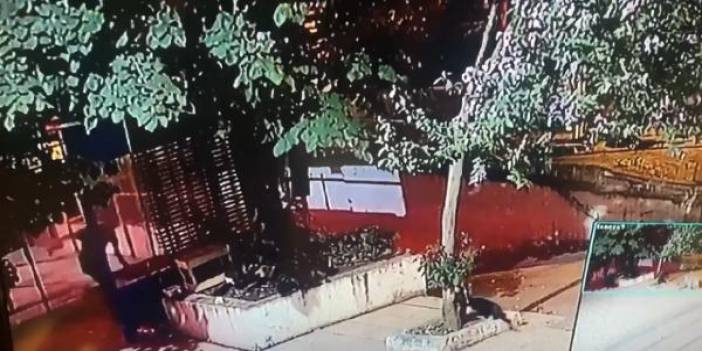 Sokak kedisine tekme atarak öldüren katil kameralarda