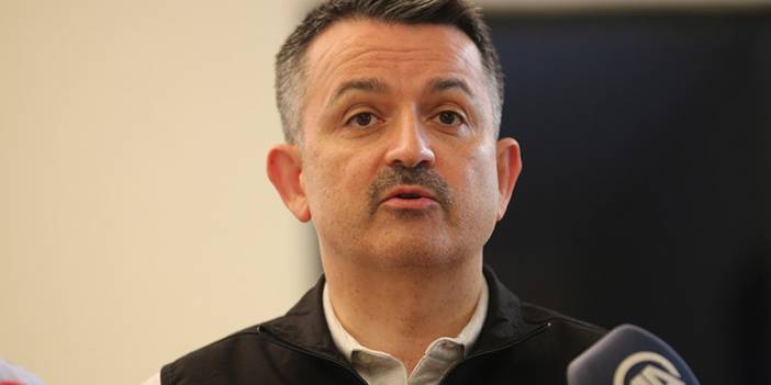 Bakan Pakdemirli: 2 ilde 6 noktada yangınlar devam ediyor