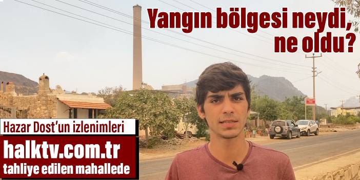 Yangın bölgesi neydi ne oldu? Hazar Dost'un izlenimleri