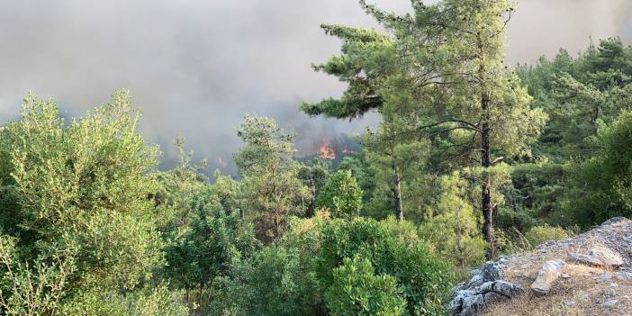 Milas'a yöneldi: Alevler çok yoğun