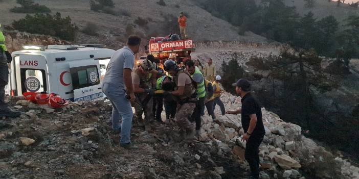 Muğla'daki orman yangınında yanan ağaç devrildi, 2 kişi yaralandı