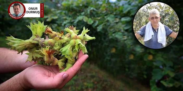 Erdoğan fındık fiyatlarını açıklamıştı: Ordu'da tepkiler büyüyor