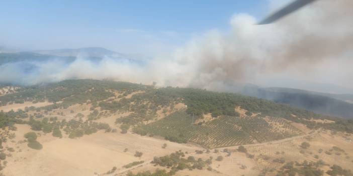 İzmir'de orman yangını