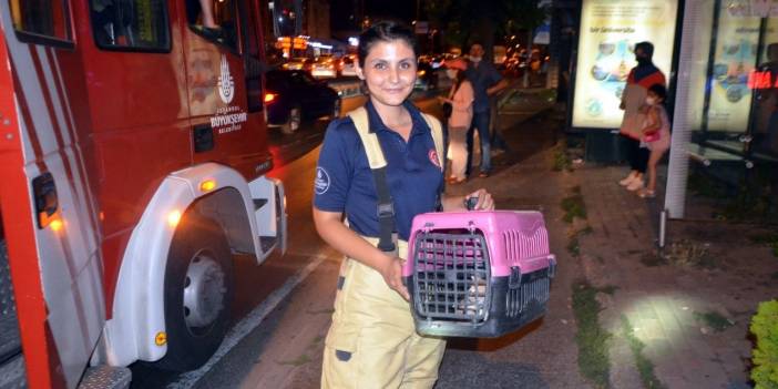 Avcılar'da mazgalda mahsur kalan yavru kedi kurtarıldı