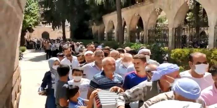 Urfa'da Covid-19'un Alfa, Beta, Delta, Gamma varyant aşuresi