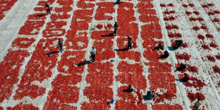 Aşırı sıcaklar Ege ovalarındaki 'kırmızı mesai'yi erken bitirdi