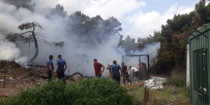 İstanbul'da orman yangını
