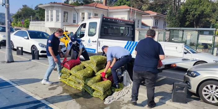 Sarıyer'de 1 ton kaçak midye ele geçirildi