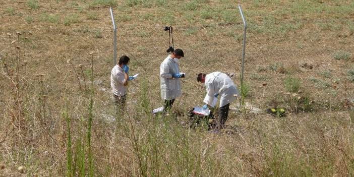 Taburcu edildiği hastanenin arkasında cesedi bulundu