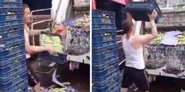 Kasalarca kabağın çöpe atılmasına soruşturma başlatıldı