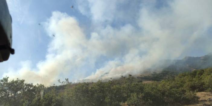 Bingöl'de orman yangını