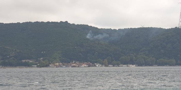 Beykoz'da orman yangını söndürüldü