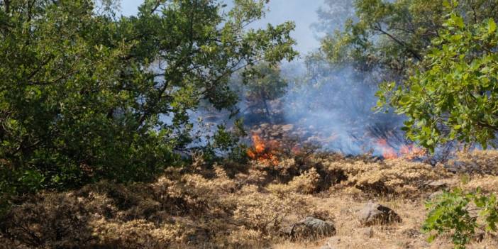 Bingöl'deki orman yangınına müdahale sürüyor