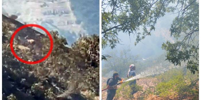 Tunceli'de yangın devam ediyor: Dağ keçileri yangından kaçıyor