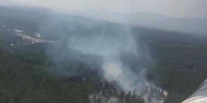 Manisa'da orman yangını