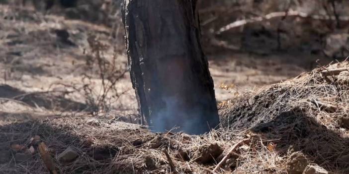 Antalya'da ormanlarda hala duman tütüyor