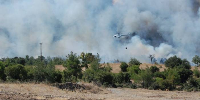 Çanakkale'de orman yangını