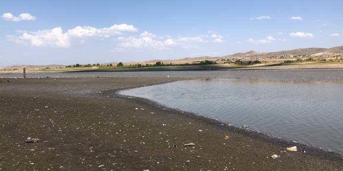 Sular çekildi, balıklar kıyıya vurdu