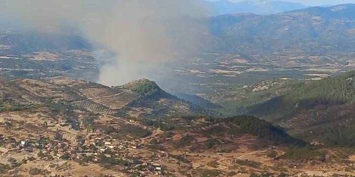 Balıkesir Burhaniye'de orman yangını