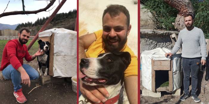 Köpeğe çarpıp öldürdü, arkasına bakmadan kaçtı