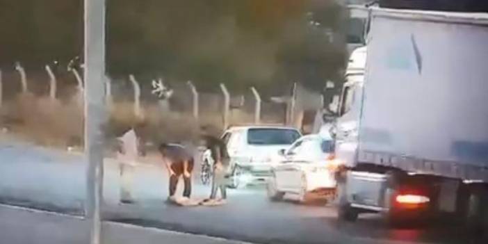 Otomobille çarptığı köpeği ölüme terk etti