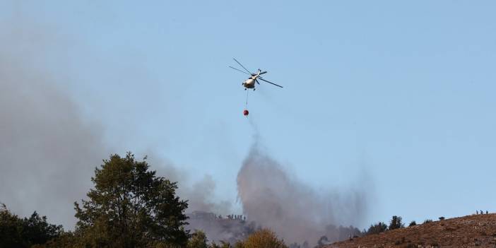 Ankara'da çıkan orman yangını kontrol altında