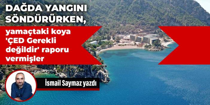 Dağda yangını söndürürken, yamaçtaki koya 'ÇED Gerekli değildir' raporu vermişler