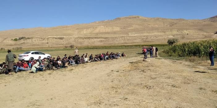 Van'da 71 kaçak göçmen ve 2 organizatör yakalandı