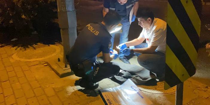 Karşıdan karşıya geçen yayaya çarpıp kaçtı!