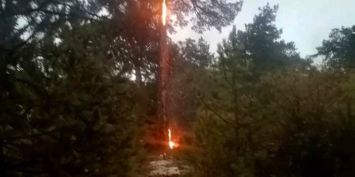 Marmaris'te düşen yıldırım orman yangını çıkarttı