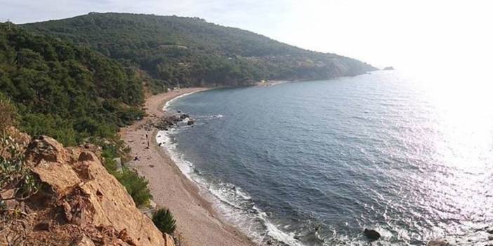 Doğal sit alanı Madam Martha Koyu için yapılan ihale iptal edildi