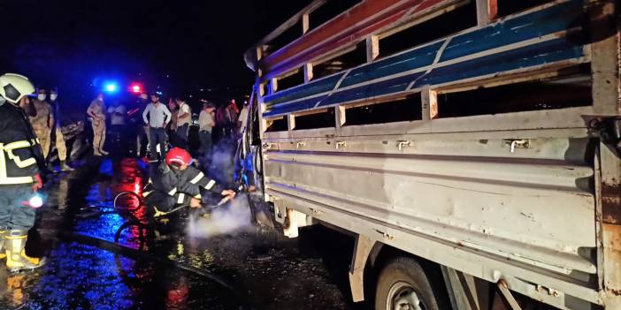 İneklere çarpıp, devrilen kamyonet alev aldı